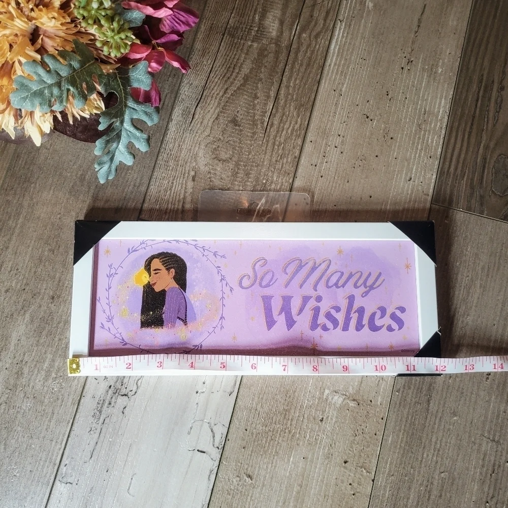 Disney nwt wish